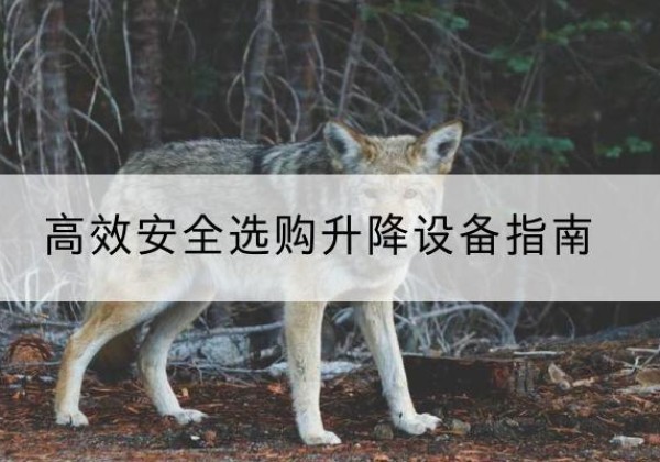 恒山升降货梯厂家推荐-*安全选购升降设备指南