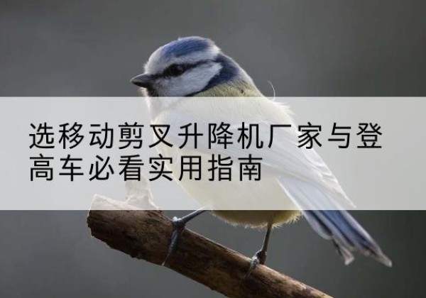 恒山电动升降机厂家-选移动剪叉升降机厂家与登高车必看实用指南