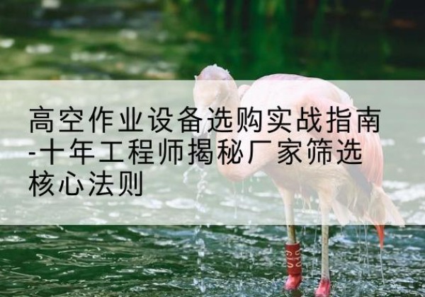 恒山剪叉式升降机厂家-高空作业设备选购实战指南-十年工程师揭秘厂家筛选核心法则